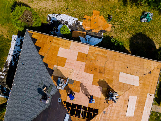 Best Storm Damage Roof Repair  in Williamsport, IN